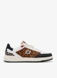 Zapatillas D. Franklin C V2 Tennis Basic leopardo