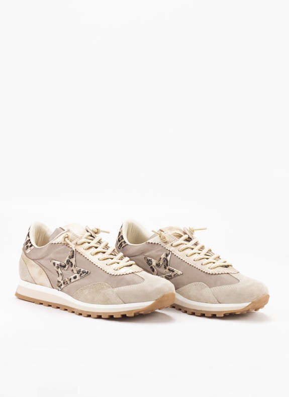 Cetti 1259 goldene Pantoffeln