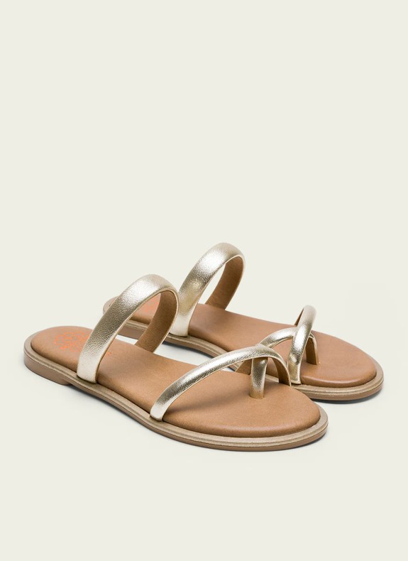 L 347 vom 20.12.2013, S. 1)