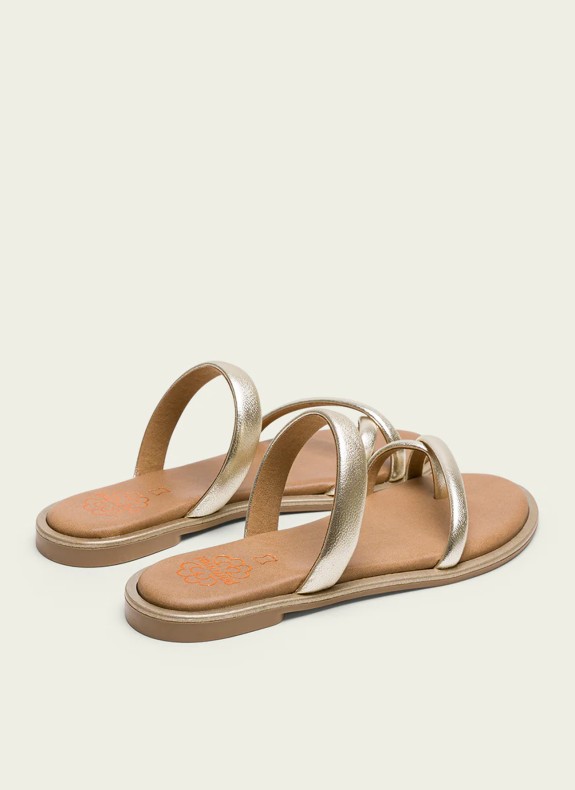 L 347 vom 20.12.2013, S. 1)