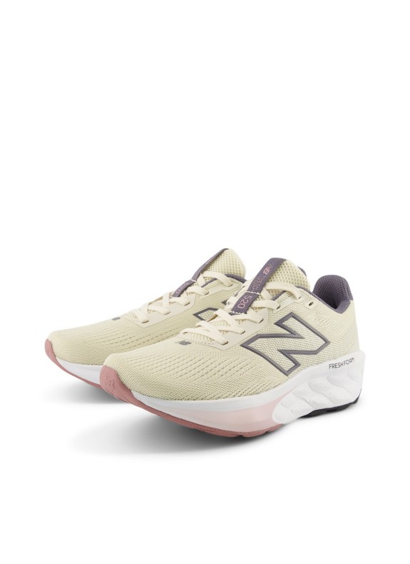 W520